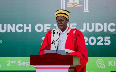 Supreme Court President Dr. Faustin Ntezilyayo Highlights Key Activities for the 2024-2025 Judicial Year