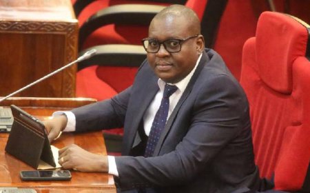 Tanzania: Professor Jay Refutes Rumors of His Death and Reflects on His Health Journey