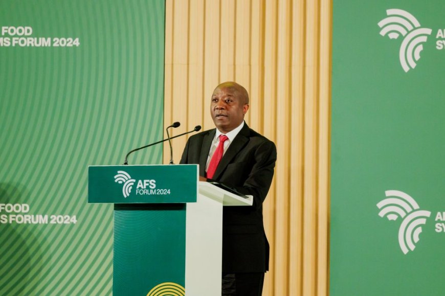 Africa’s Untapped Agricultural Potential: A Call for Urgent Transformation