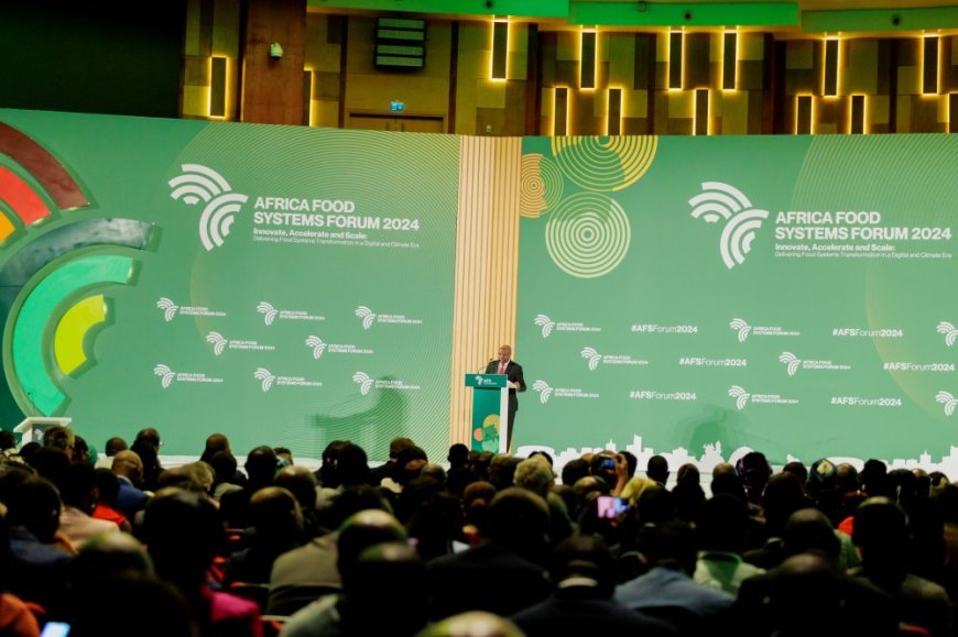 Africa’s Untapped Agricultural Potential: A Call for Urgent Transformation