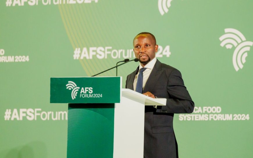 Africa’s Untapped Agricultural Potential: A Call for Urgent Transformation