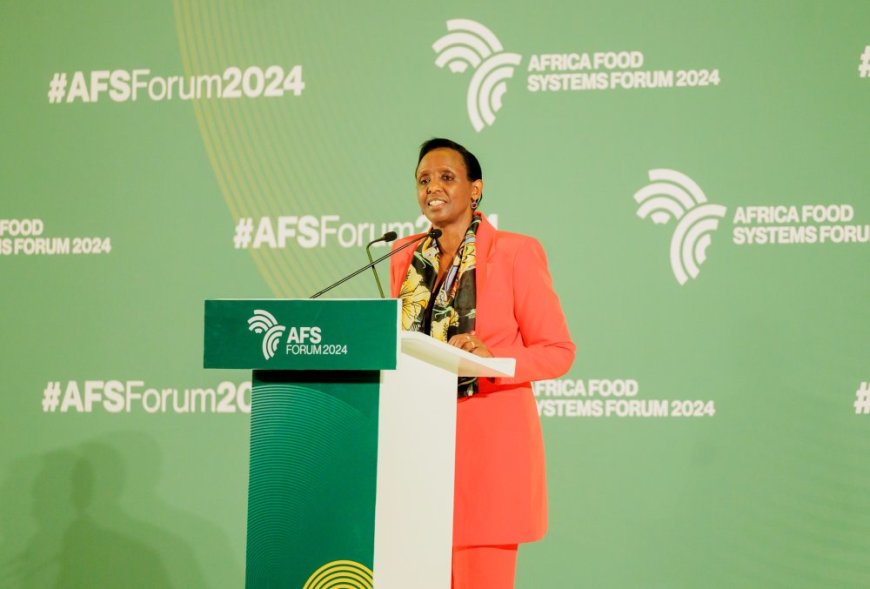 Africa’s Untapped Agricultural Potential: A Call for Urgent Transformation