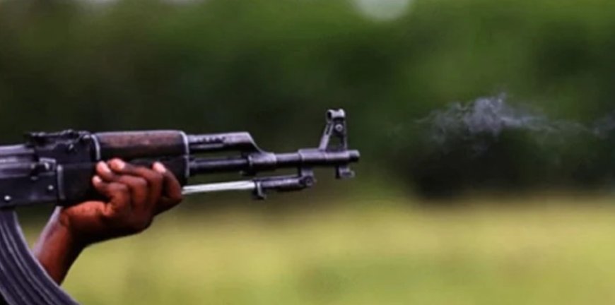 Gunman from the Democratic Republic of Congo Enters Rubavu District to Steal Cattle, Captured by Patrol