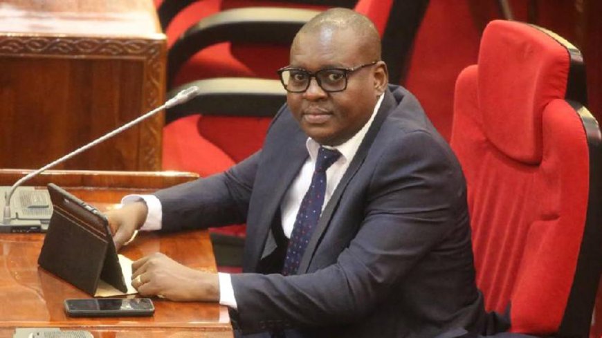 Tanzania: Professor Jay Refutes Rumors of His Death and Reflects on His Health Journey