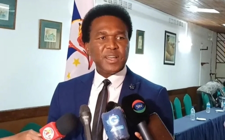 "Mondlane Seeks Dialogue with Nyusi to Resolve Mozambique's Crisis"