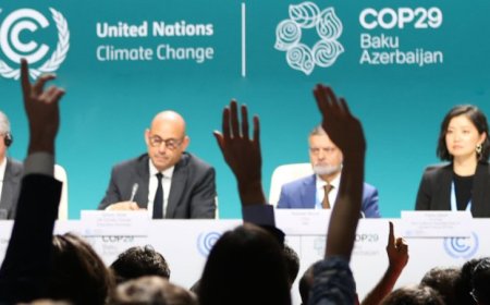 "Developing Nations Walk Out of COP29 Over Inadequate Climate Support"