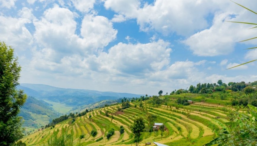 Iterambere ni ryose ku bwa Green Gicumbi