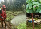 Agricultural Biotechnology a solution to Protect Pollinators and Build a Sustainable Future