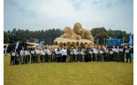 Rwanda Names 40 Baby Gorillas in 20th Kwita Izina Ceremony