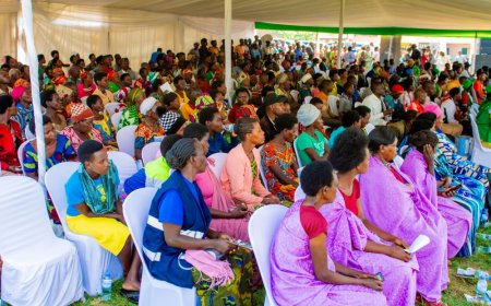 Gicumbi: “Telefoni Yanjye, Amafaranga Yanjye” gahunda nsha y’ikoranabuhanga mu kwishyura abagenerwabikorwa ba VUP