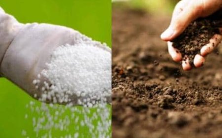 Gukoresha Ifumbire ijyanye n'ubutaka  byazamuye umusaruro