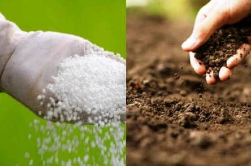 Gukoresha Ifumbire ijyanye n'ubutaka  byazamuye umusaruro