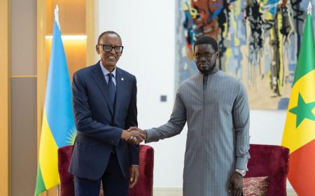 Perezida Kagame yakiriye Perezida wa Senegal Bassirou Diomaye Faye