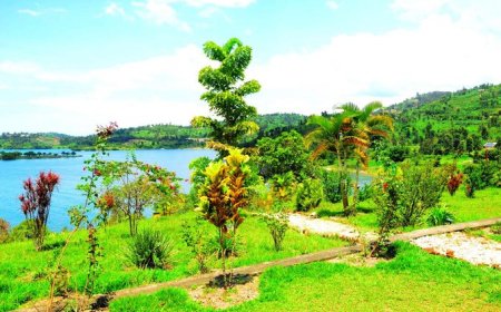 Rutsiro: Umupolisi yirashe arapfa nyuma yo kurasa abaturage