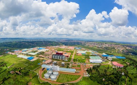 Umusaruro Mbumbe w’u Rwanda wazamutseho 11,8%