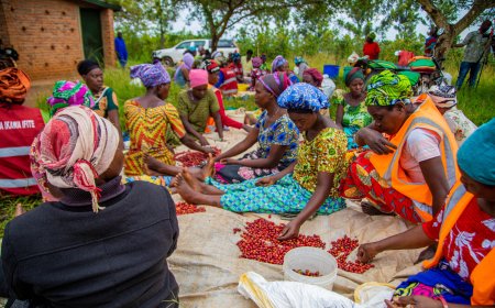 Kayonza:Kawa yabaye imbarutso y'iterambere ry'abayihinga